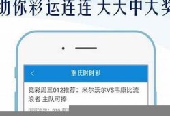 王中王王中王免费荷资料大全一(王中王王中王免费资料大全一五行)