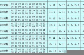 香港小财神奖号码分析与预测方法
