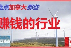 如何通过加拿大赚钱软件在家赚钱 实用技巧分享