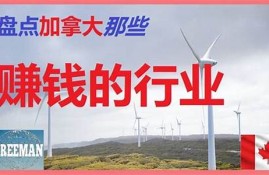 如何通过加拿大赚钱软件在家赚钱 实用技巧分享