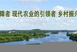 澳门六开全部免费资料2021(澳门六开全部免费资料2023亮点)