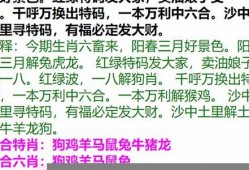 马会传真资料图片2023(马会传真资料图片论坛)