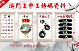 1澳门王中王免费观看资料(澳门王中王免费观看资料最新版)