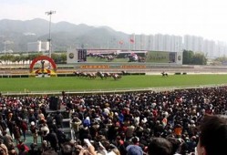 香港马会2023年开奖结果加开奖记录查询