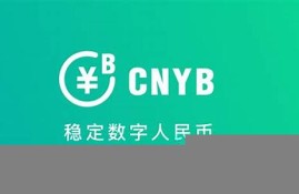 cnyb是什么数字货币(zy是什么数字货币)