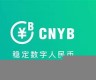 cnyb是什么数字货币(zy是什么数字货币)