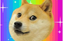 dogecoin币价格今日行情,今天的Dogecoi行情