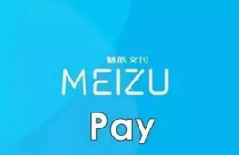 tenx pay上线交易平台,京东支付是怎么？？怎么弄京东支付？？