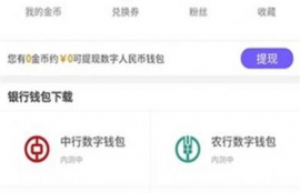 d讯中央数字货币钱包,数字人民币如何开户？