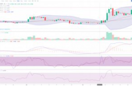 ltc币价格走势分析最新分析,ltc减半2023几月