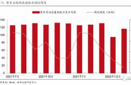 疫情期间中国的数字货币是什么