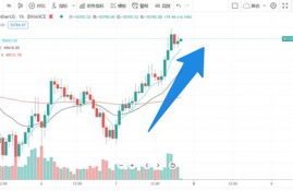 btc比特币今日行情走势图分析最新预测,比特币行情走势图是怎样的？