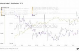 btc新增钱包数创近半年新高(btc钱包有什么用)