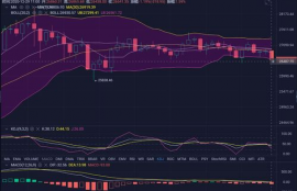 xrp币的最新消息最新,瑞波币XRP简介？