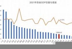 贵州地方债的财政可持续性分析(贵州省地方债券资金使用规定)