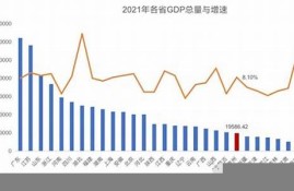 贵州地方债的财政可持续性分析(贵州省地方债券资金使用规定)