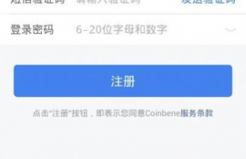 paxg币官方网站,风行官网的风行币怎么弄