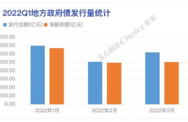 chr币发行总量,雷乐币的发行总量是多少?