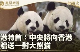 香港迎新一对赠送大熊猫 公众见面活动精彩纷呈(得了绝症没有钱治病怎么办)