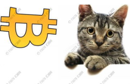 以太坊 猫 来源