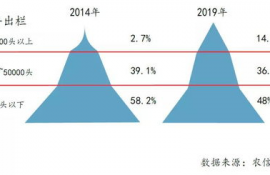 link币2020年前景如何分析,2020年区块链的发展趋势是怎样的？