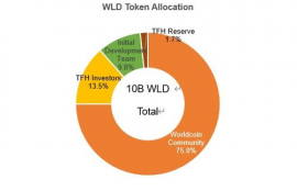 worldcoin收入多少