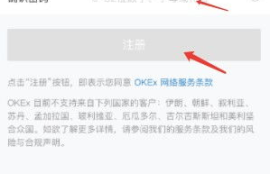 okex交易平台背景怎么设置,okex是什么？