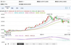 国际比特币每日行情