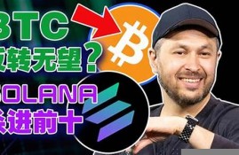 我存在钱包的btc丢了(btc钱包中文版官方下载)