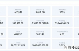 fil币国家支持吗,国家对多特币持什么态度