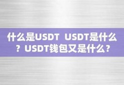 usdt钱包vx咨询53866 支付吗(usdt支付app)