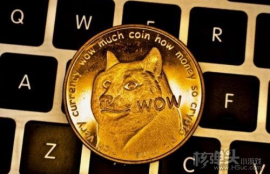 doge狗狗币app下载最新版官方,doge是什么币种？