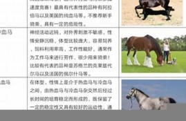 澳门特马资料2023(请把澳门特马的资料发过来看一下)