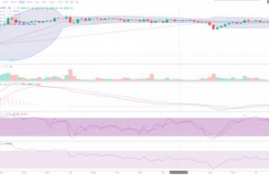 ltc币价格走势分析预测分析,LTC交易去哪个交易所做？