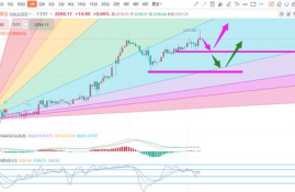 ssv币价实时行情分析,现在泰达币（USDT）多少钱一个了？哪里看最新行情价格？