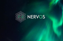 nervos币,ner是一个什么币