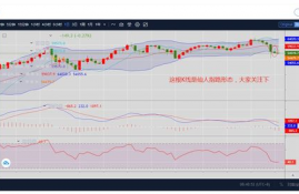 chz币价格今日价格走势分析,chz是什么币