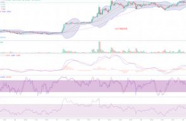 ltc币今日价格行情分析最新,LTC交易去哪个交易所做？