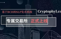 slp币怎么交易啊,slp是什么币