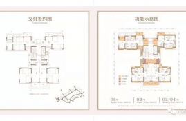 ltc币值得投资有风险吗为什么,莱特币是骗局吗