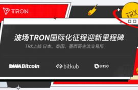 trx波场公链技术是什么指标,trx波场公链