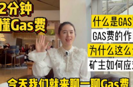 什么是gas币圈是什么的缩写,gas是什么意思？