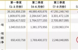 cfx币值得投资吗最新消息,有人知道CFX财汇国际交易平台有什么特点吗