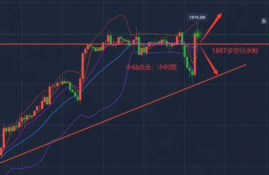 icp币为什么暴涨暴跌呢,央行决定全面收派币的原因是什么