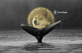 doge狗狗币下载地址最新破解版中文版