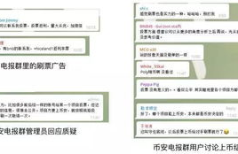 icp币是什么意思啊中文叫什么,ICP是什么意思