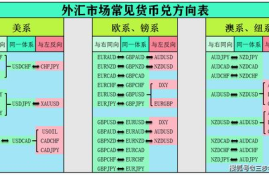 国际货币兑交易平台,外汇交易软件哪个好？