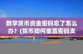 数字货币资金池未加锁是什么意思