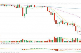 ltc币历次减半行情分析最新预测,币信怎么样？支持什么样的业务？