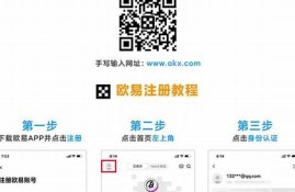 usdt钱包教程(usdt 钱包)